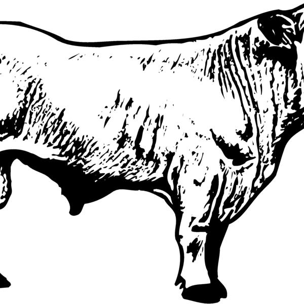 COW023 Thumbnail