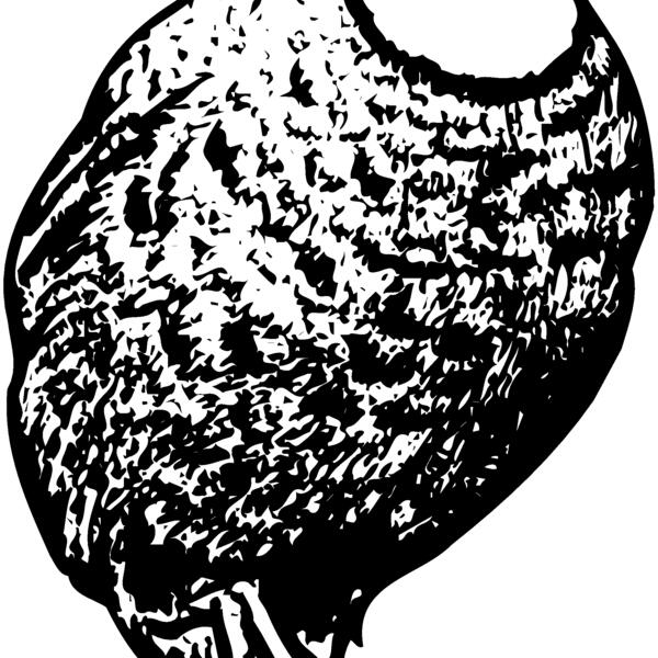 BIRD063 Thumbnail