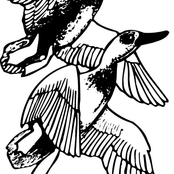 BIRD078 Thumbnail
