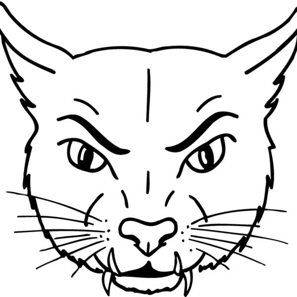 CAT19 Thumbnail
