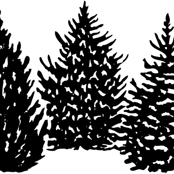 TREE0001 Thumbnail