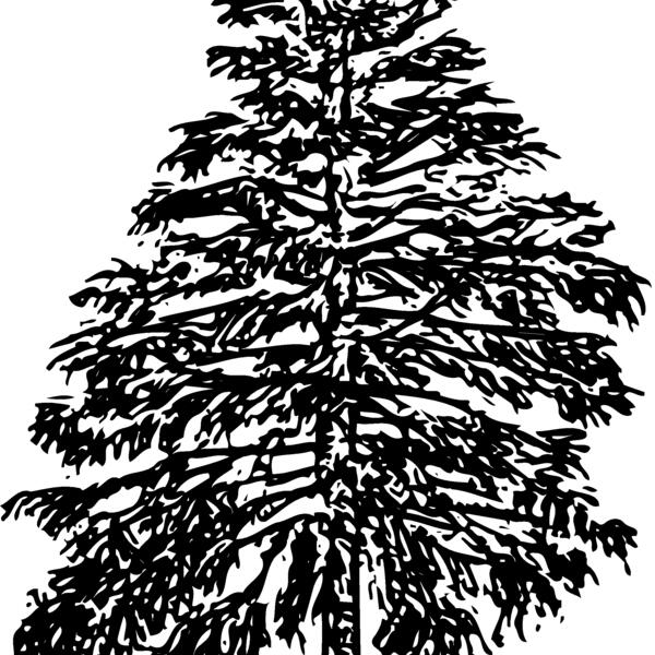 TREE0009 Thumbnail
