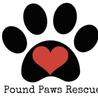 poundpawsrescue Thumbnail